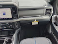 2025 Ford F-250SD Platinum