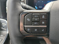2025 Ford F-250SD Platinum
