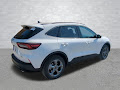 2025 Ford Escape Hybrid ST-Line