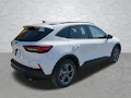 2025 Ford Escape Hybrid ST-Line