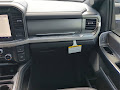 2025 Ford F-250SD Platinum