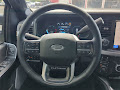2025 Ford F-250SD Platinum
