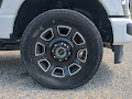 2025 Ford F-250SD Platinum