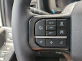 2025 Ford F-450SD Platinum