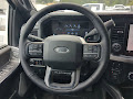2025 Ford F-450SD Platinum
