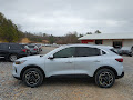 2026 Ford Escape Hybrid Platinum