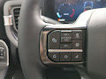 2025 Ford F-250SD Platinum